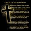The Lord is My Shepard